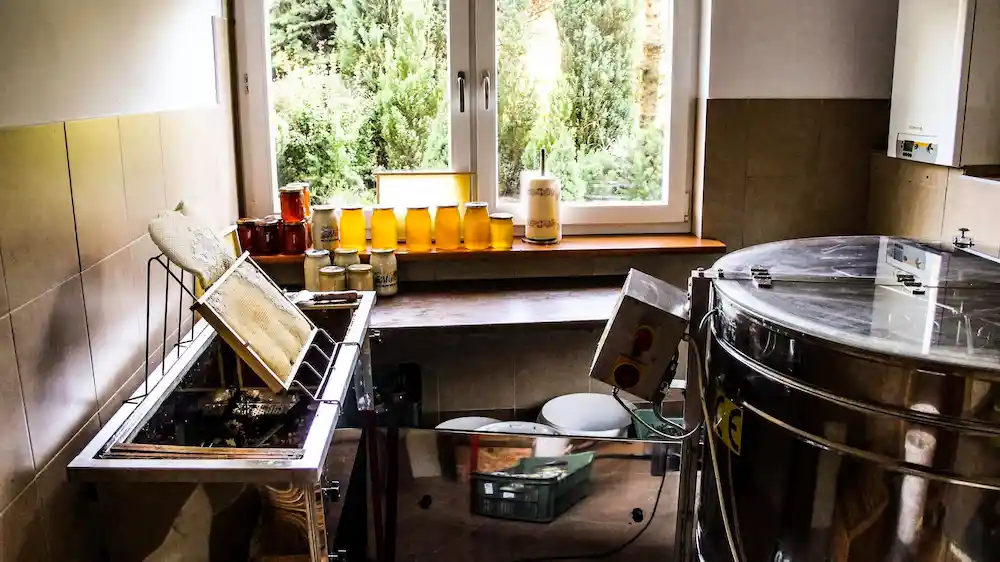 Proces odsklepiania plastra miodu przed wirowaniem